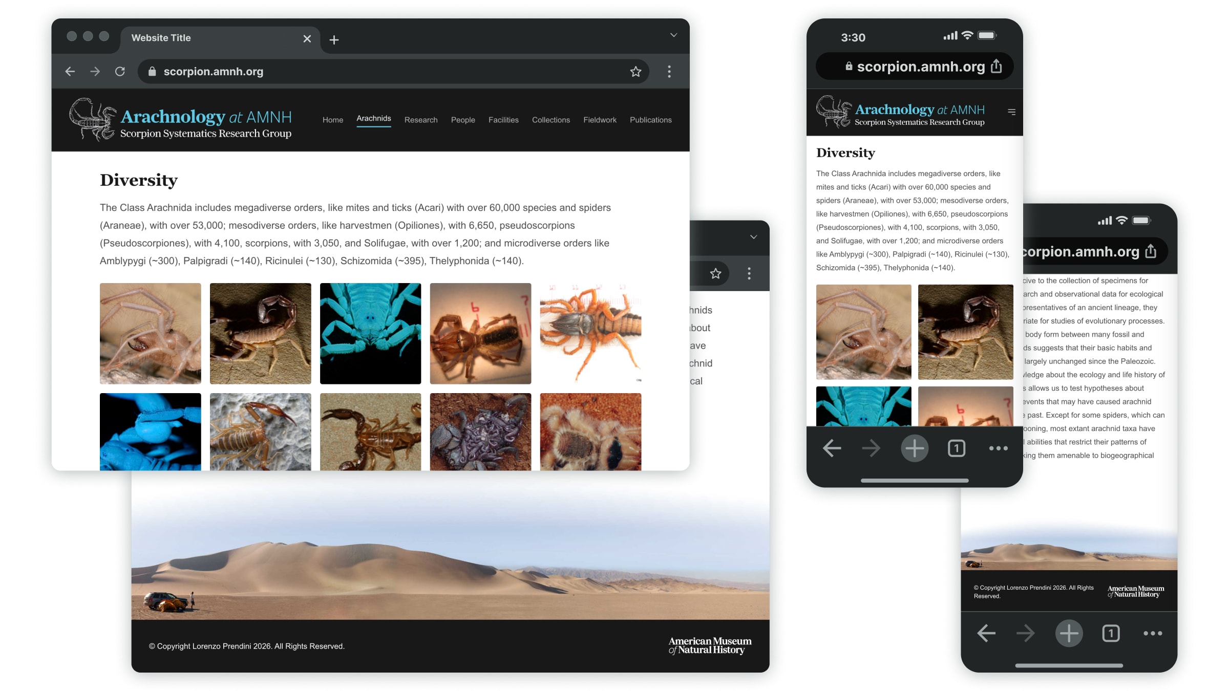 Dissemination of information about arachnid diversity