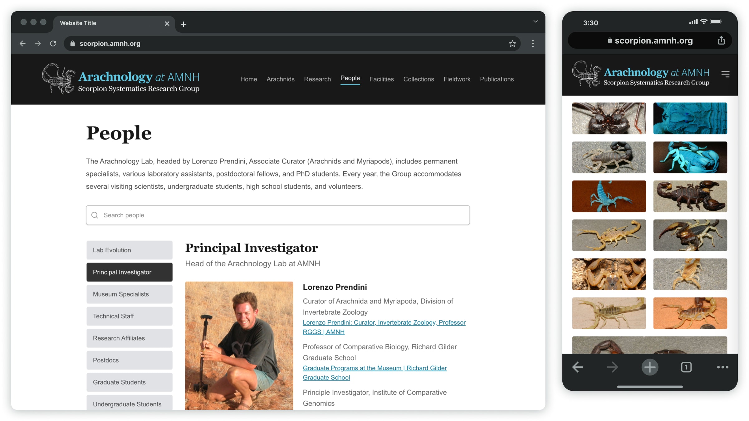 People directory and scorpion diversity on the AMNH Arachnology Lab's website