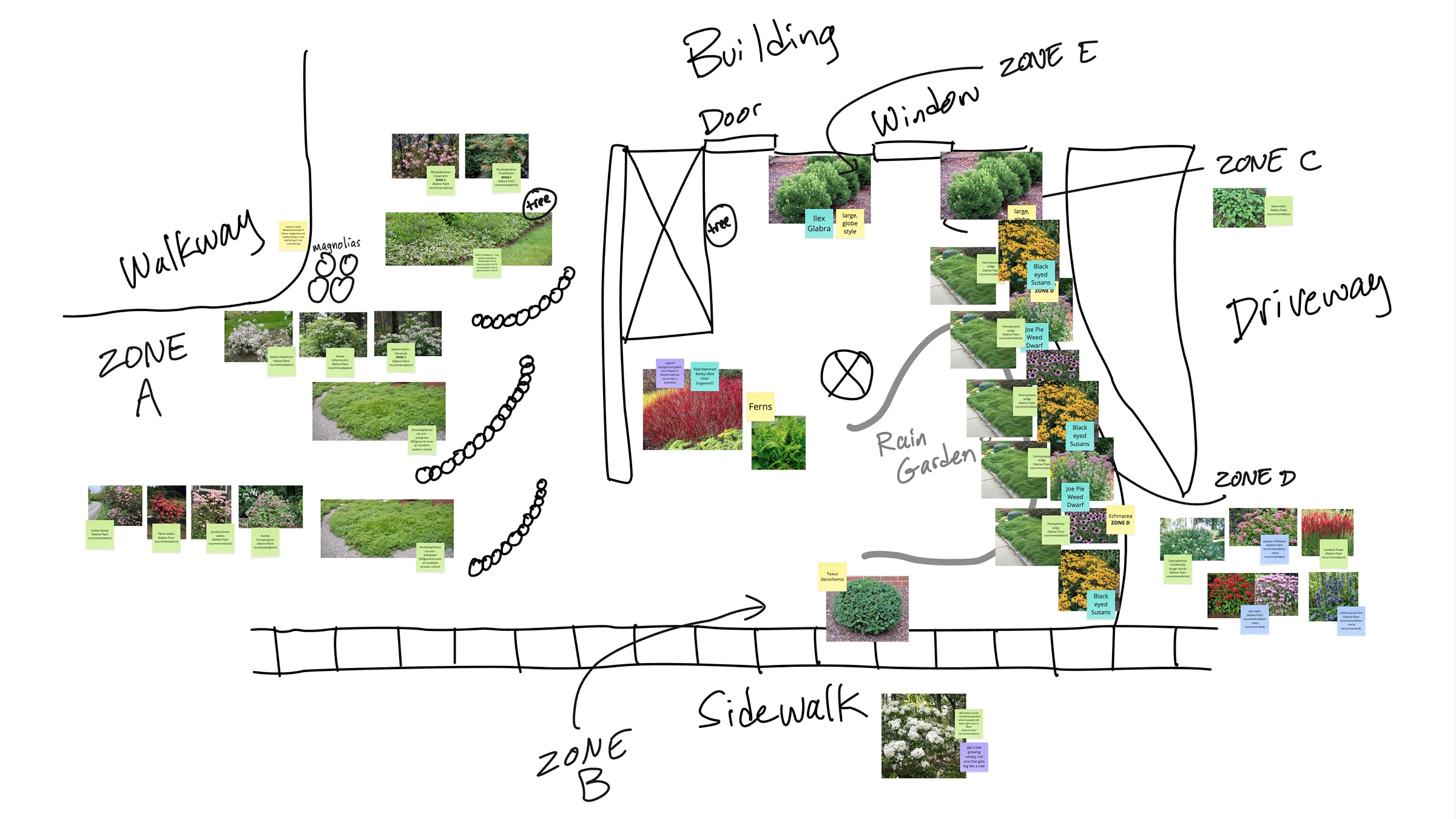 Ideation workshop sketch and mapped photo references for native plantings
