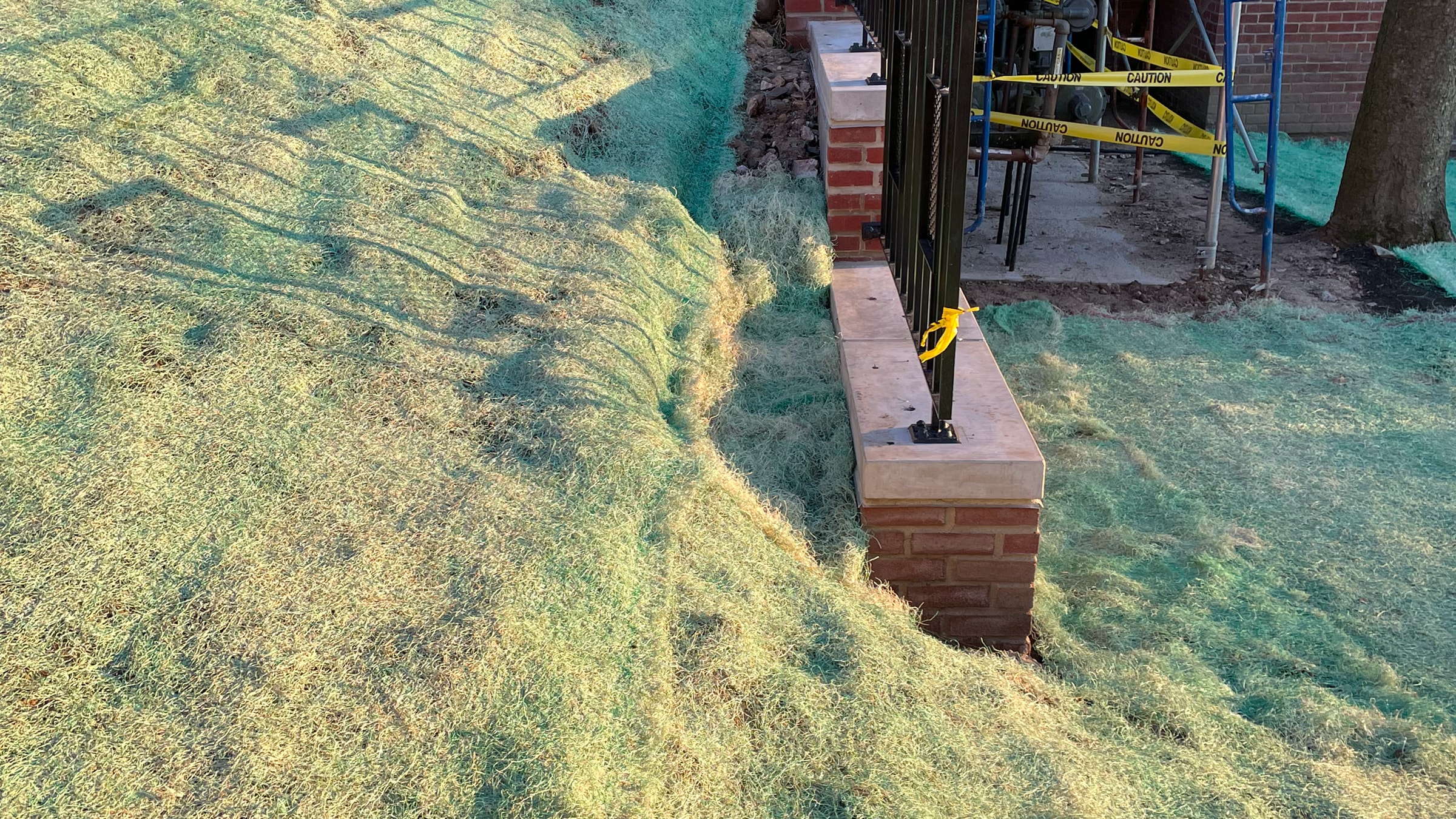 Steep grade change temporarily guarded from erosion using seed blanket